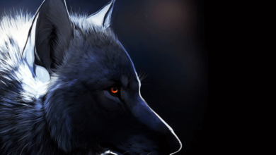 Cool:5z1esso7hiq= Wolf Wallpaper