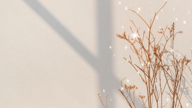 Aesthetic:4cp7q9ppsk4= Background Image