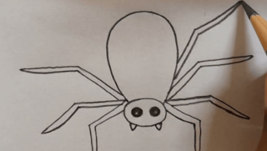 Cute:_6bc_P8otbs= How to Draw a Spider