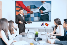 Role of Local Translations to Expand into Vietnam and Thailand Markets 