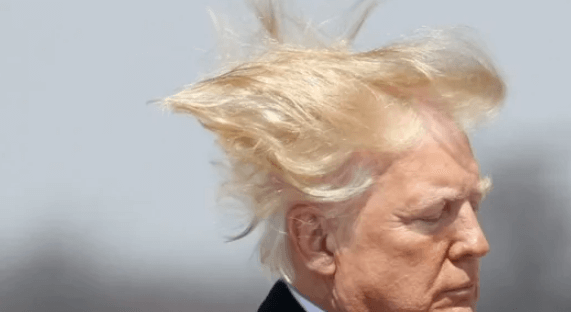 Trumps Wig Falls off