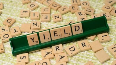dividend yield for gmbh