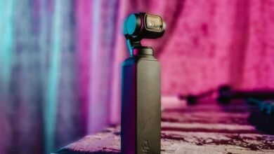 online architecture stability course