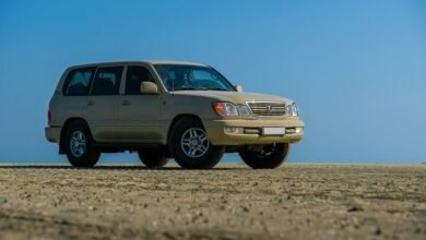 reliable online model stability